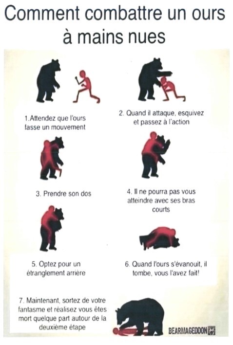 Comment combattre un ours à mains nues