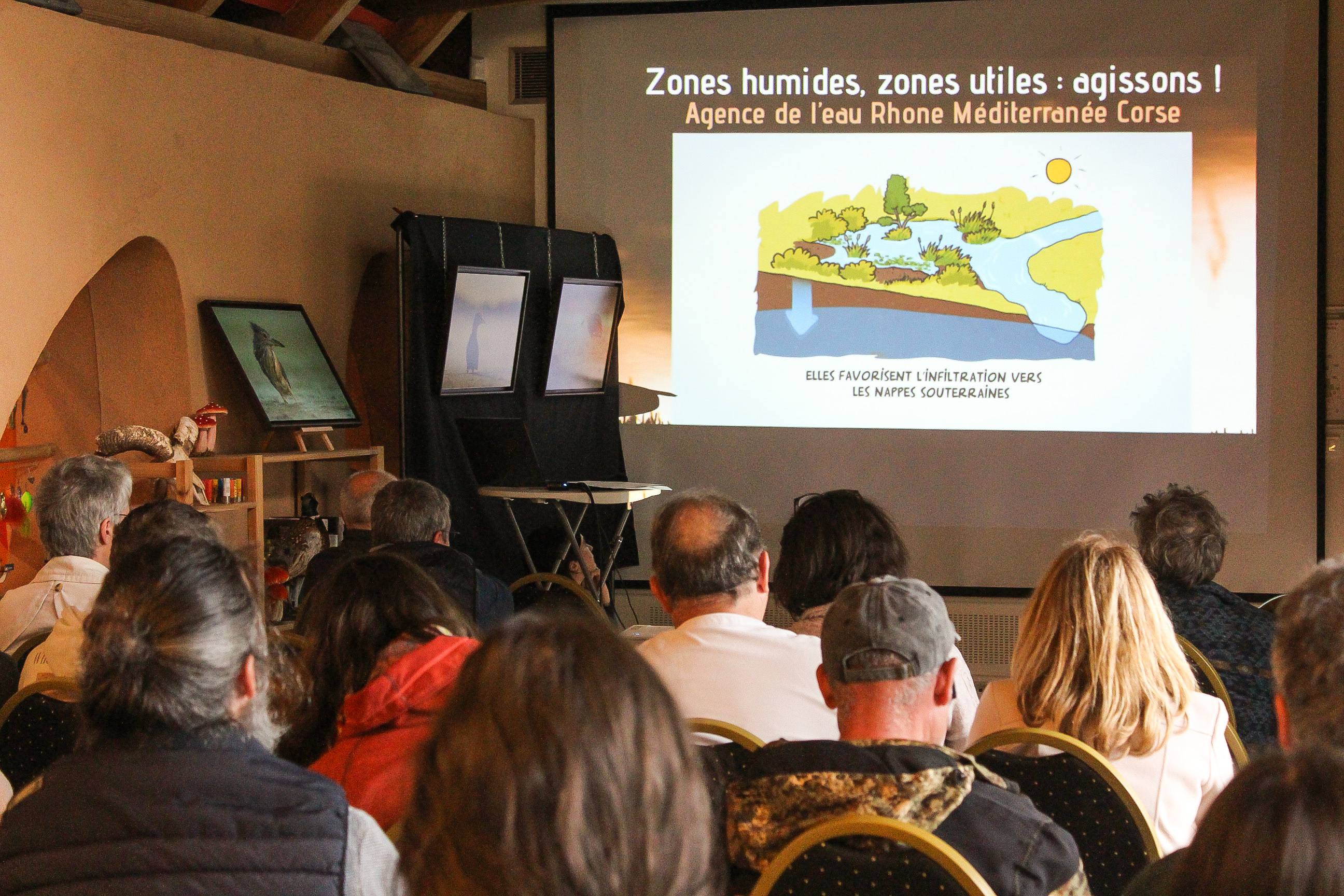 Retour sur la Mini-conférence « Zones humides : si utiles, si fragiles »