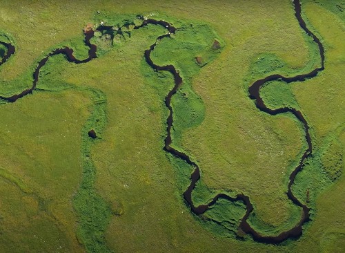 VIDEO AGRIFAUNE 48: Préservation des prairies humides et des bécassines sur l'Aubrac.