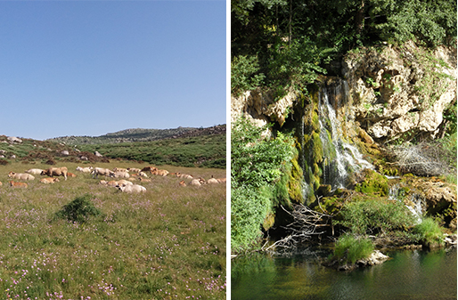 Les activités de pleine nature s'engagent dans la charte Natura 2000 Vallées du Tarn Tarnon Mimente
