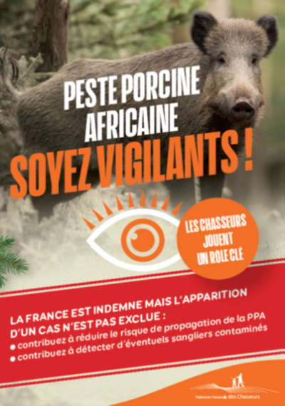Peste Porcine Africaine (PPA), soyez vigilants !