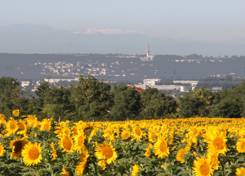 la FDC31 sensibilise les élus de Toulouse Métropole à la biodiversité. 