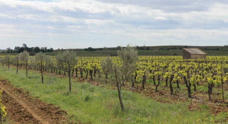Agrifaune en Occitanie