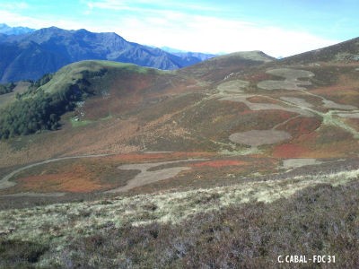 La réouverture des milieux de montagne, un enjeu pour l’élevage et la biodiversité