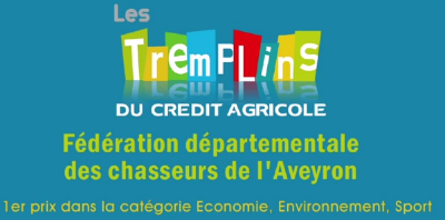Tremplins du Crédit Agricole Nord Midi-Pyrénées 2015