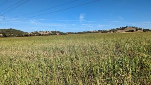 Action de restauration des milieux ouverts Action de restauration des milieux ouverts