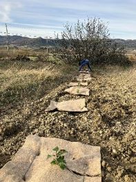 Action de restauration des milieux ouverts Action de restauration des milieux ouverts