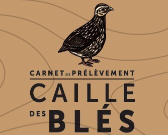 chasse de la Caille des blés: PMA à 15 individus par chasseur par jour