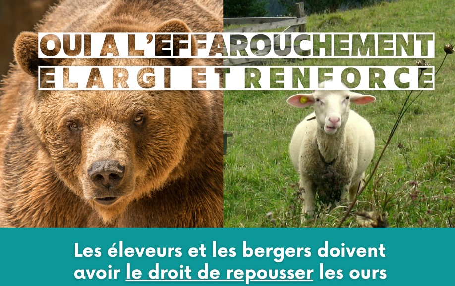 OURS: Oui à l'effarouchement élargi et renforcé