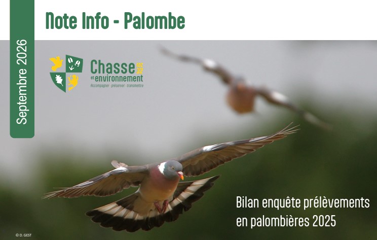   COMMUNIQUE DE PRESSE: chasse traditionnelle de la palombe