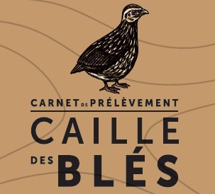         Carnet papier caille des blés