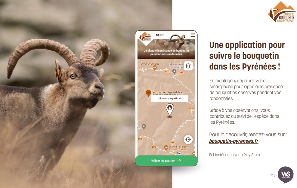 Les bouquetins ont leur application mobile
