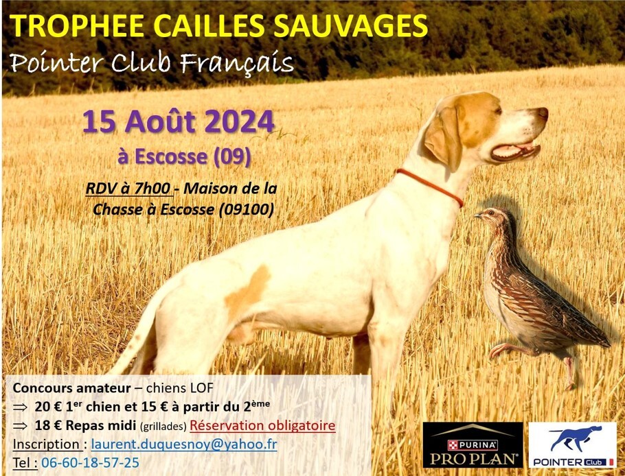 Concours amateur sur cailles