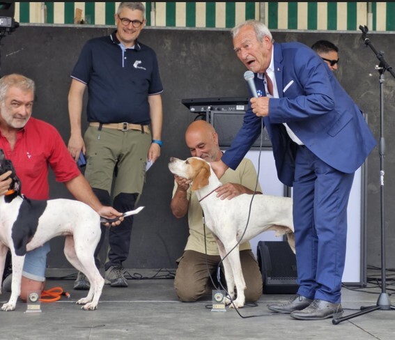 Week-end pointer club en Ariège