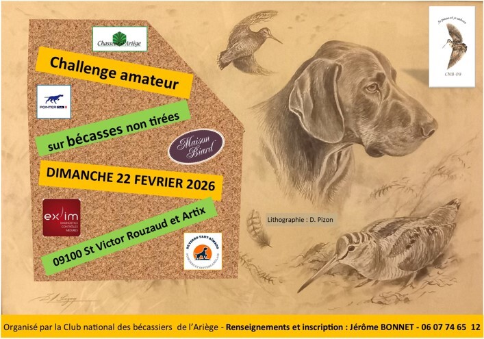 Saint Victor Rouzaud et Artix: Challenge amateur sur bécasses