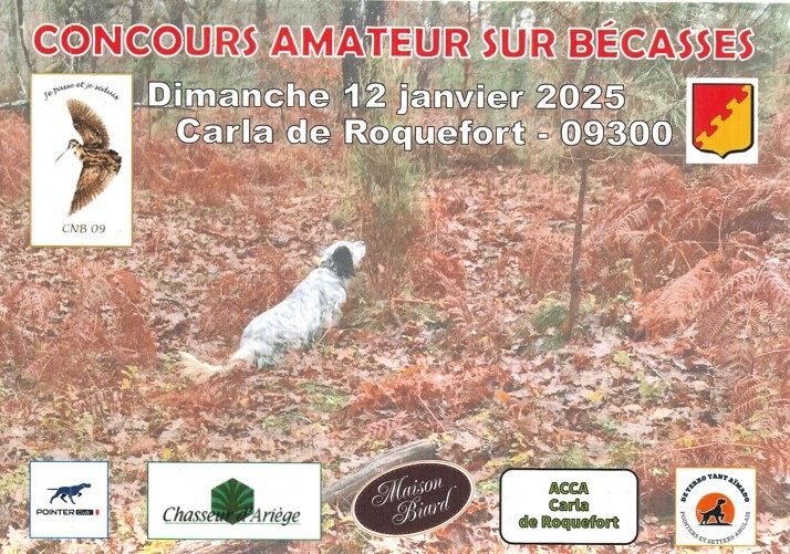 Concours amateur sur bécasses non tirées 