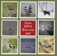 Bonnes fëtes de fin d'années.