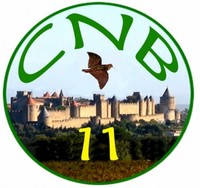 cnb