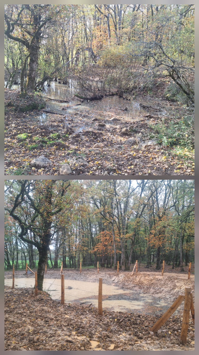 Les chasseurs restaurent une mare à Ols et Rinhodes