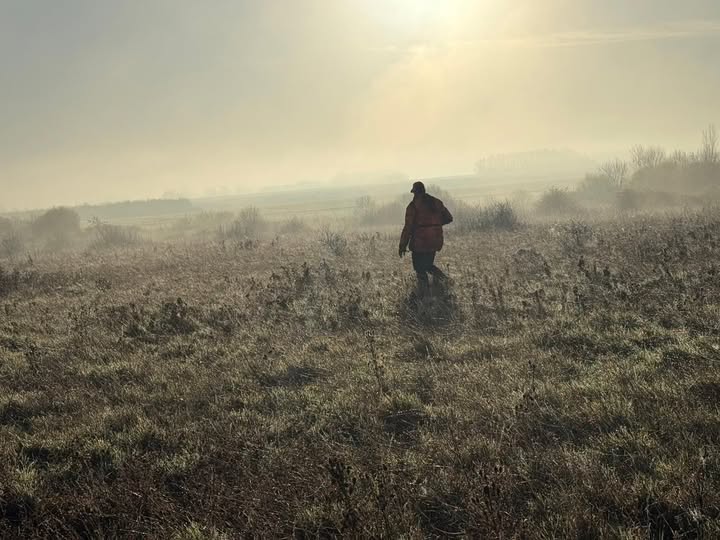 Joyeuses fêtes de Noël et de fin d'année.