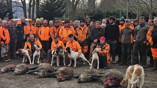 Une battue dans la ville