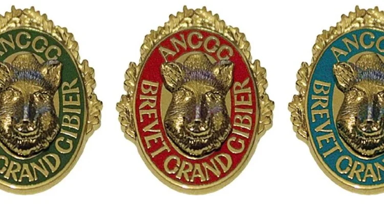 Brevet Grand Gibier 2026