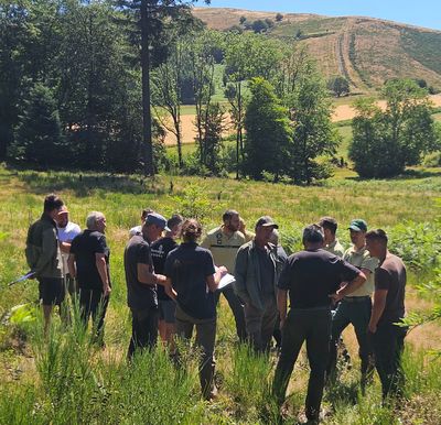 Chasseurs et forestiers sur le terrain