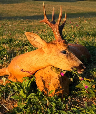 Un site pour connecter les chasseurs entre eux