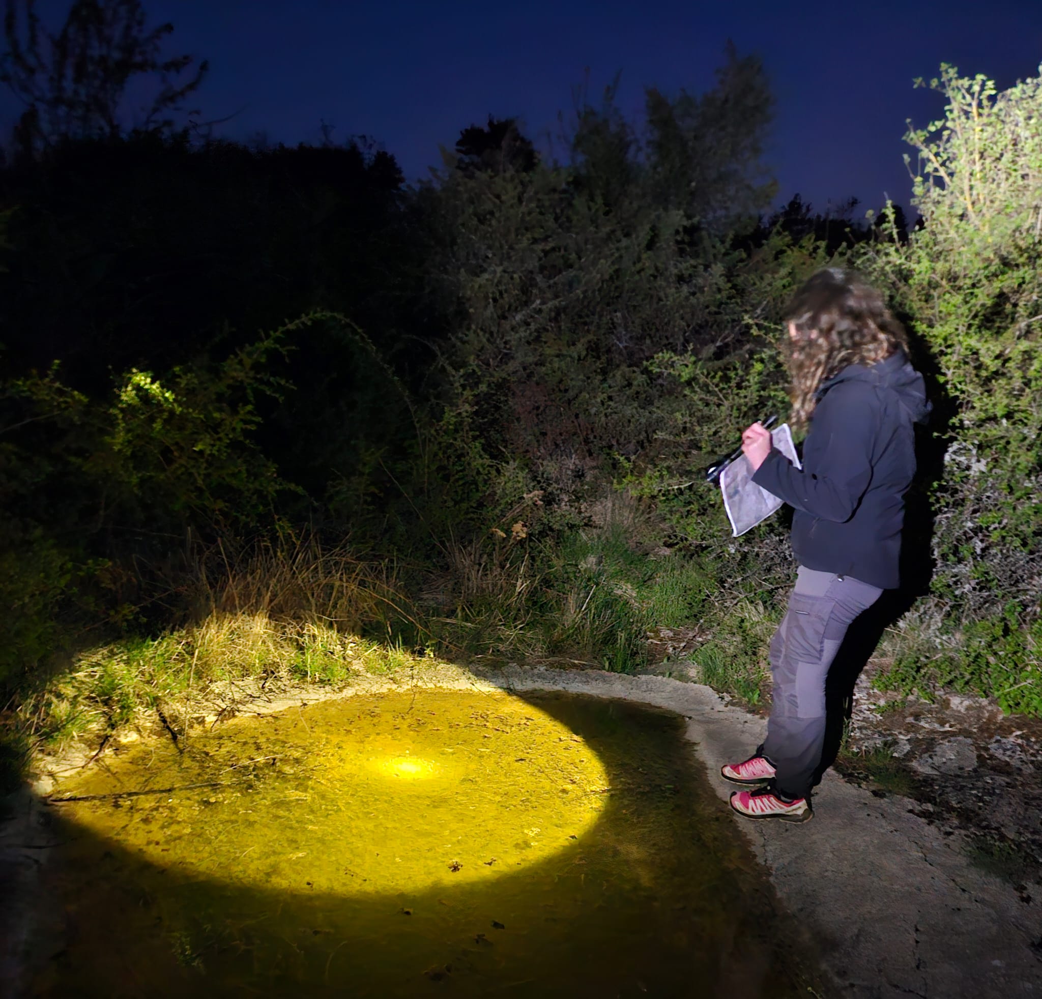À la découverte des amphibiens du Villeneuvois : une soirée immersive dans leur univers nocturne