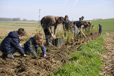 Les chasseurs plantent des haies