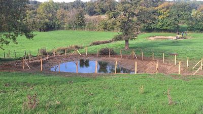 Au-delà de la mare...