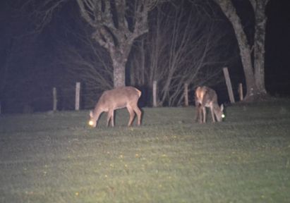 Opérations de dénombrement