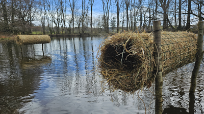 Des Alcyons sur le Lévezou