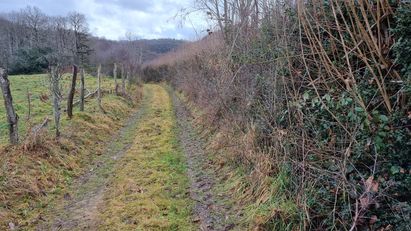 En marche dans les chemins… avec Ekosentia. 