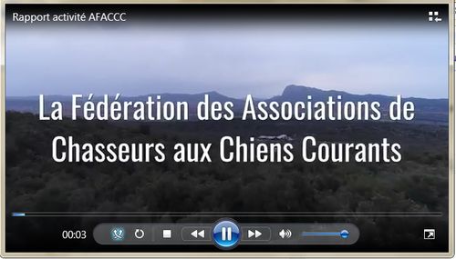 Vidéo rapport d'activité de l'AFACCC 