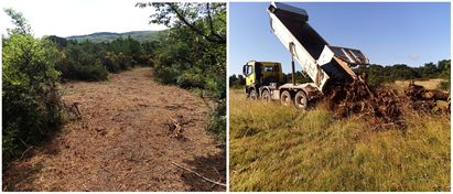 Mieux vaut tenir un lapin que poursuivre un lièvre 