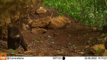 Du bon usage des grottes