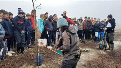 Les chasseurs plantent des haies à Baraqueville