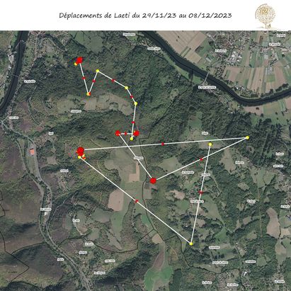 Laie-ti n’aime pas la pluie