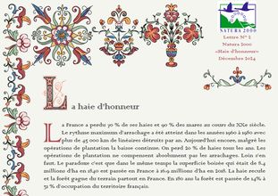 La lettre d'information « Natura 2000 »