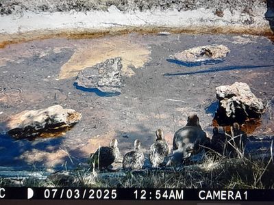 À jamais les premiers écologistes de France