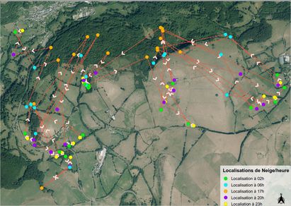 Neige part en vadrouille 