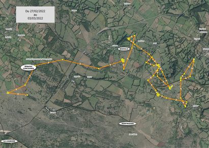 Les premiers pas de Nestor ont été difficiles.