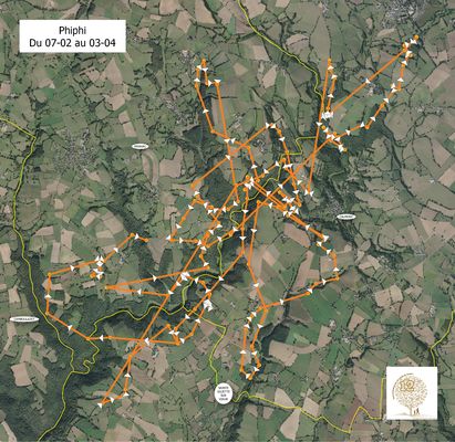 Phiphi fait le tour du propriétaire