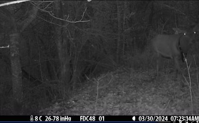 Pierrounet fait son cinéma