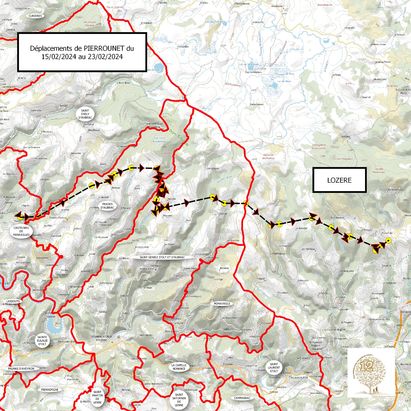 Pierrounet en migration ?