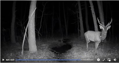 Pierrounet fait son cinéma