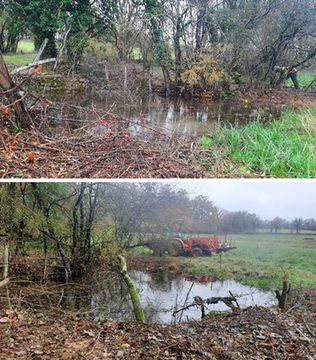 Restauration de la mare communale de Villeneuve (avec vidéo)