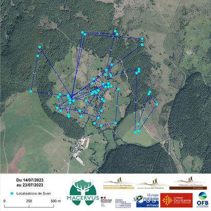 Et rond et rond ils tournent en rond