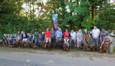 Des leprechauns sur le Larzac